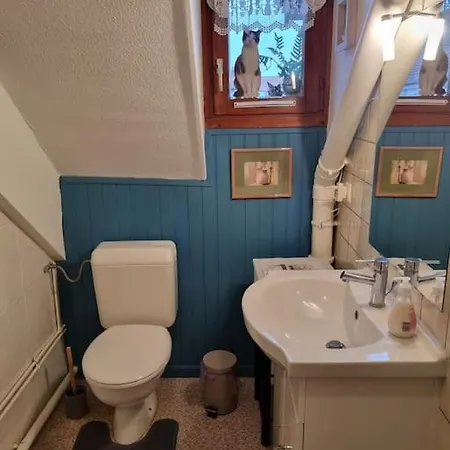 Centre-ville Apartment Colmar